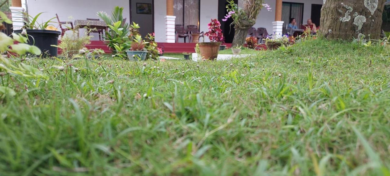 Marari Phoenix Beach Homestay Mararikulam Eksteriør bilde