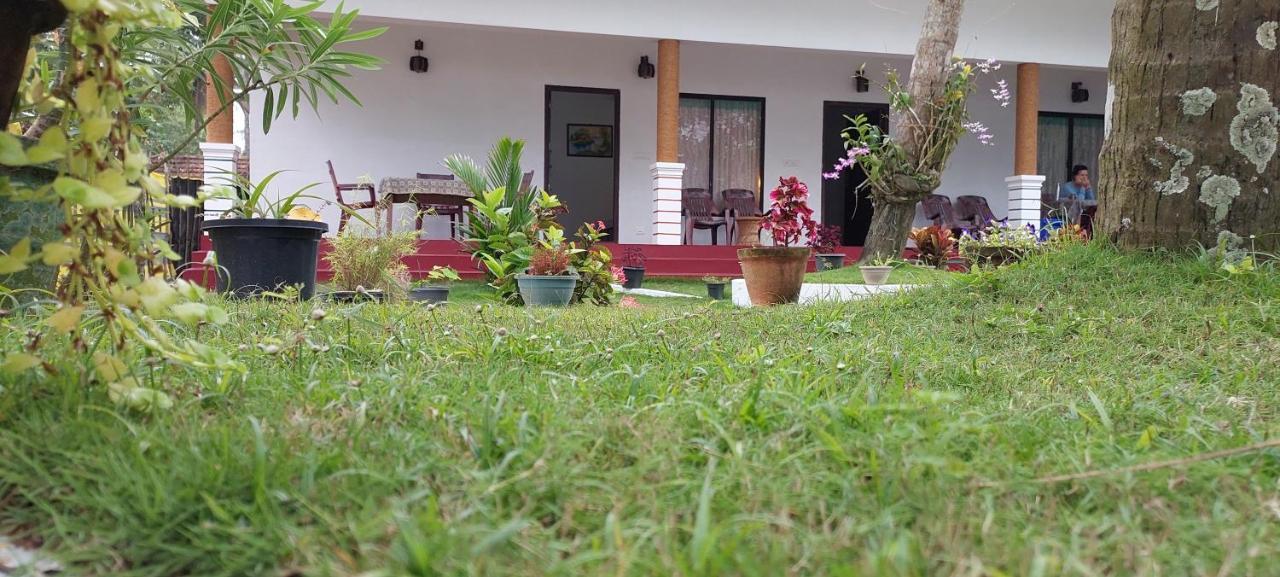 Marari Phoenix Beach Homestay Mararikulam Eksteriør bilde