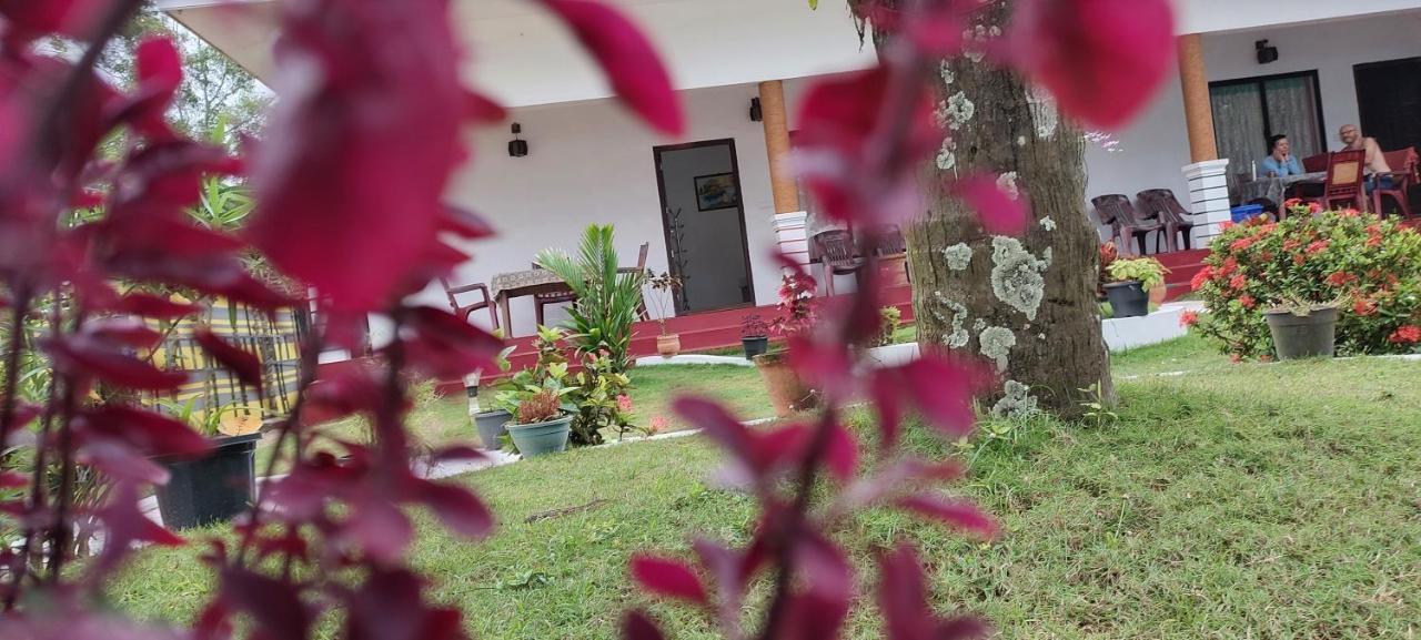 Marari Phoenix Beach Homestay Mararikulam Eksteriør bilde